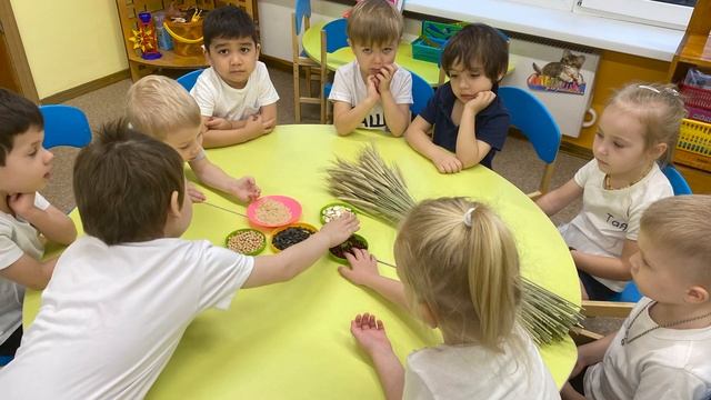 Аппликация из крупы смотреть онлайн