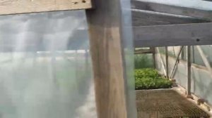 Мой рассадник для клубники!!!!Обзор