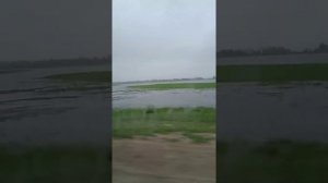 поездка в село Забузан, через село Белый- эльмень .