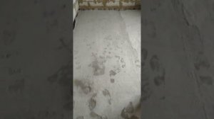 Заливка черновых полов монолитным пенобетоном