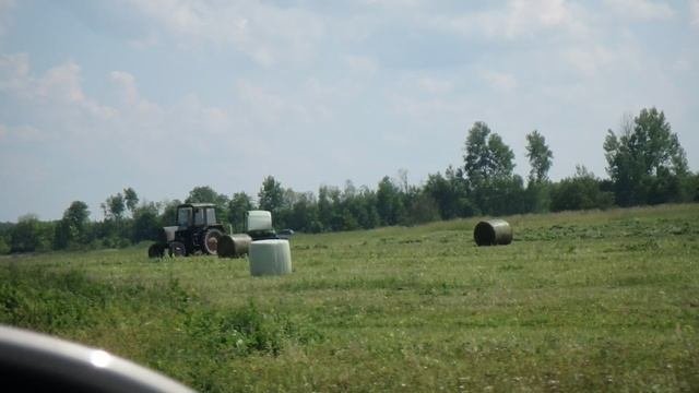 Сенокос 2023 Калининградская область