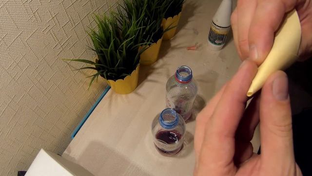 Ловушка для плодовой мушки.