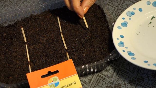 447. СЕЛЬДЕРЕЙ НА РАССАДУ=самый простой и надежный СПОСОБ= смотреть онлайн