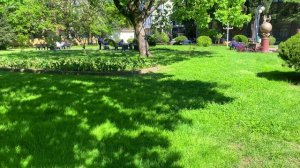 АДЛЕР СЕГОДНЯ / 2023  / апрель 2023