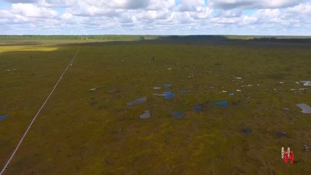 Новый обитатель. В заповеднике поселилась малая вечерница. смотреть онлайн