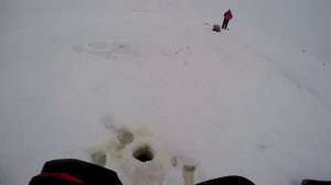 Ловля окуня на блесну зимой озеро Ильмень  Чертицкий залив