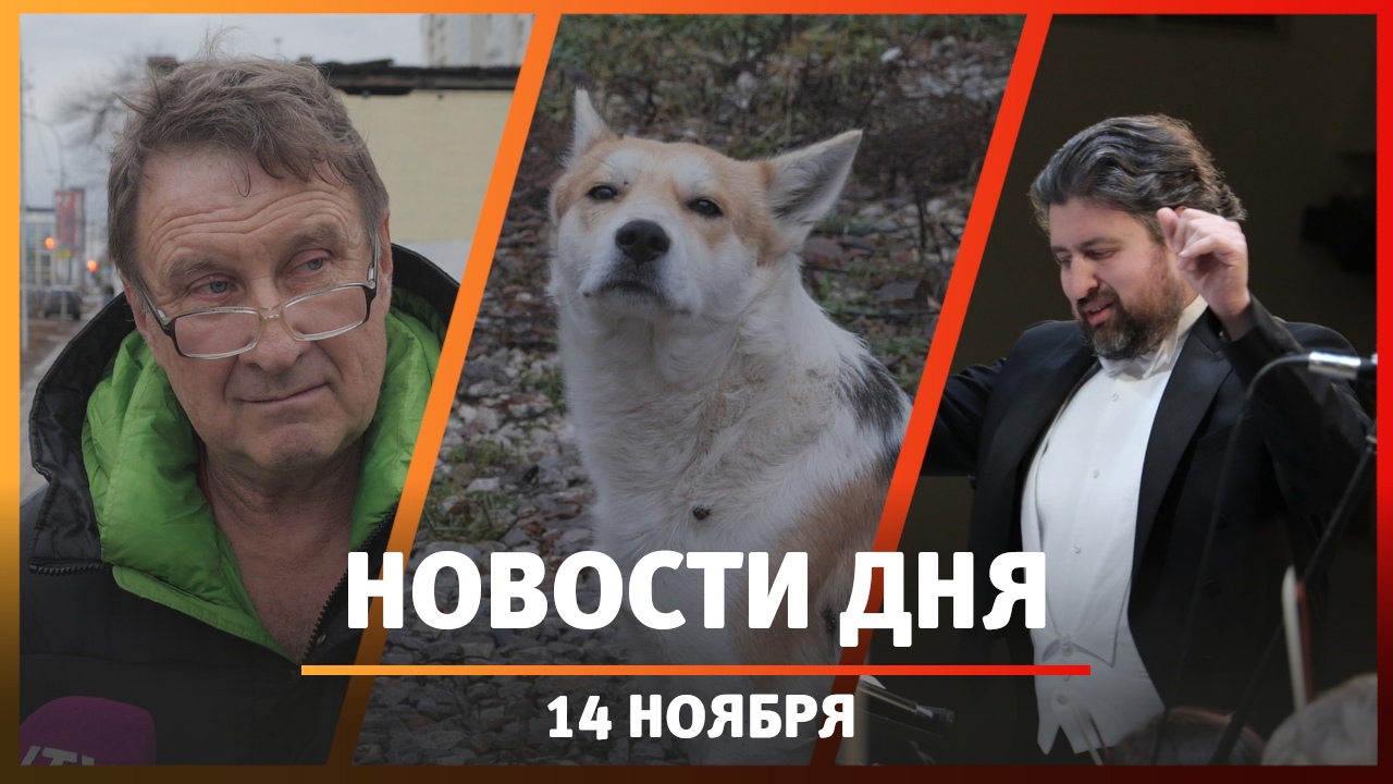 Новости Уфы и Башкирии 14.11.23: вырубка деревьев, собачий приют и концерт оркестра