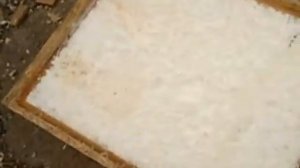 Термовата. Имитация переувлажнения. День второй.