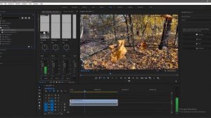 Как убрать Аудио Шумы в видео в Adobe Premiere Pro
