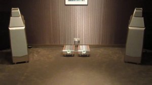 Wilson Audio Alexia Speakers