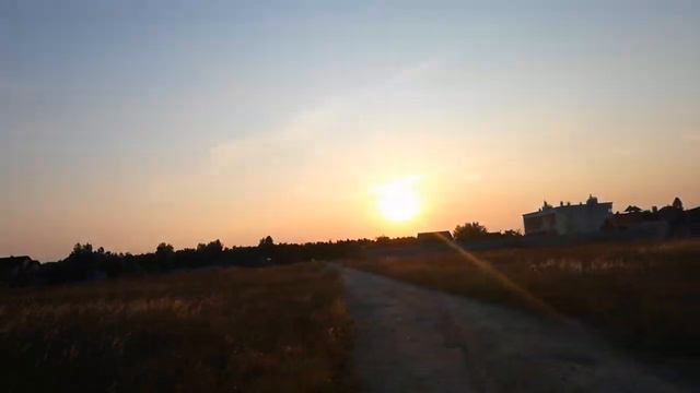 Какие-то куропатки и перепёлки бегут навстречу Солнцу! 