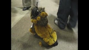 И снова шуба из натурального меха кролика. Шуба для йоркширского ...