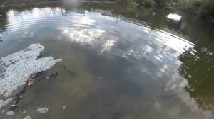 Как перевозить живую рыбу, лайвел в лодку пвх