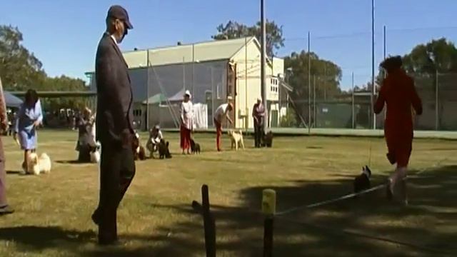 Rocklea Dog show 6-5-2012 Group 7 Line up. смотреть онлайн