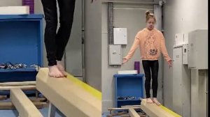Спортивная гимнастика