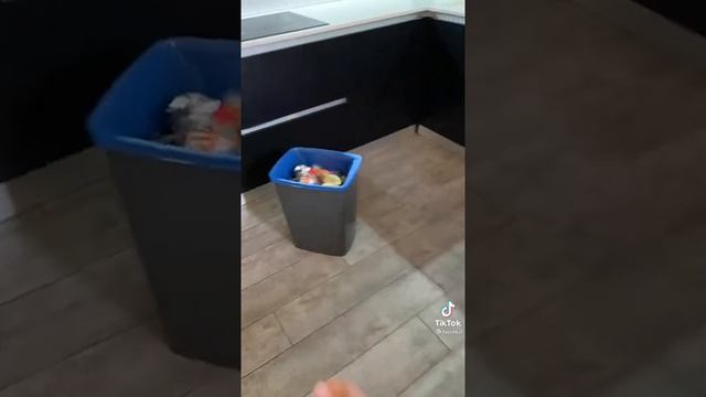 Как напугать своих собак смотреть онлайн