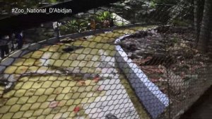 INSIDE AFRICA || Zoo National D'Abidjan - The Most Popular Zoo in Cote D'Ivoire, West Africa