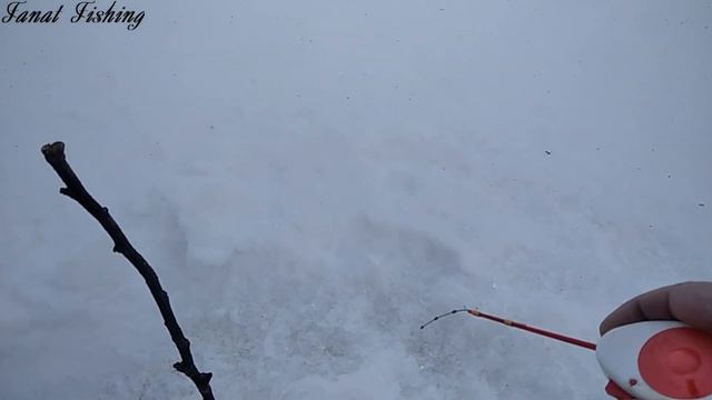 Ловля плотвы в глухозимье. Щуки на жерлицы. смотреть онлайн