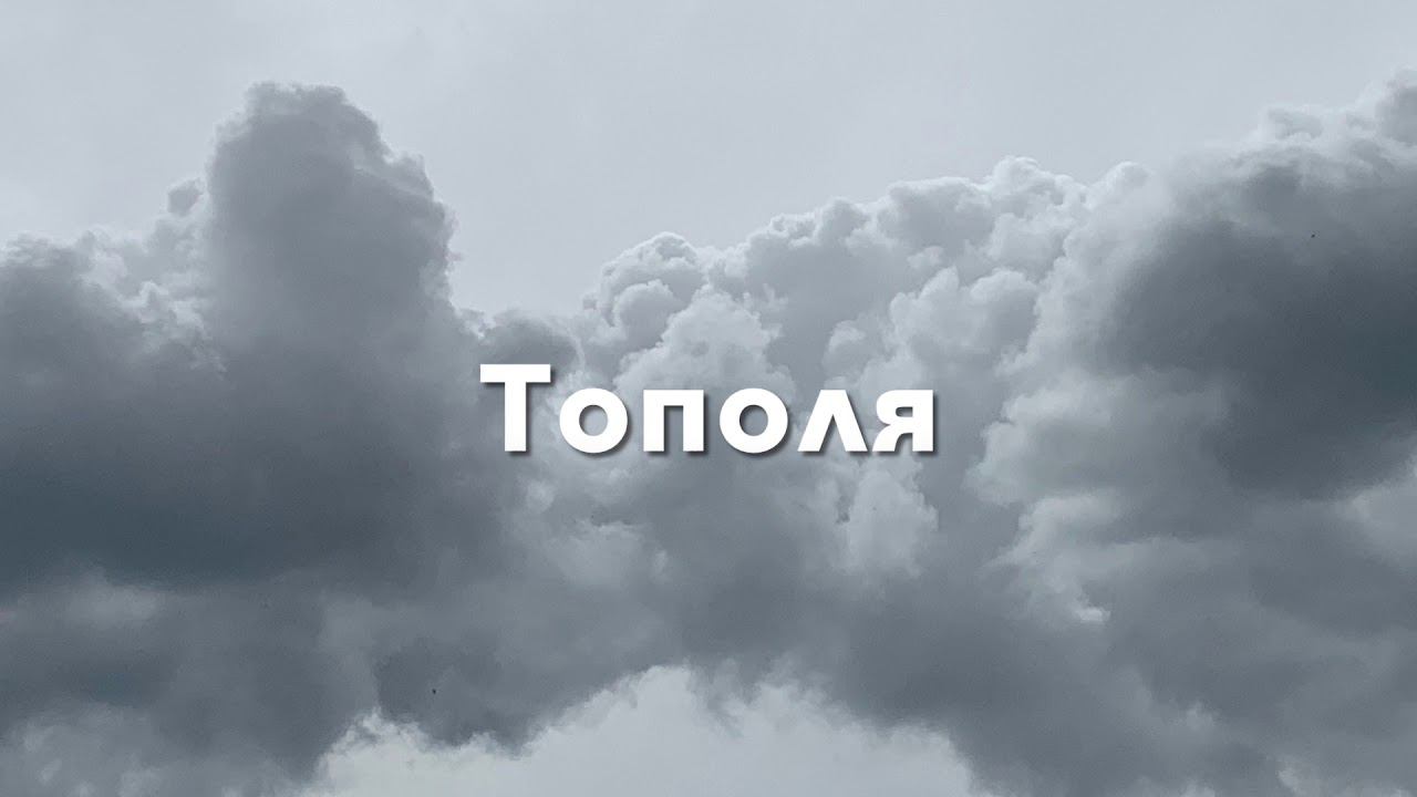 Тополя