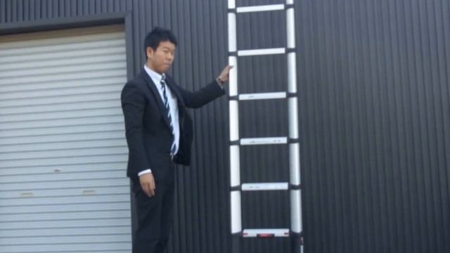 mulhandz.net 長谷川工業 テレステップス プロ HPX-38 (HPX-32) TELESTEPS テレスコピックラダー смотреть онлайн