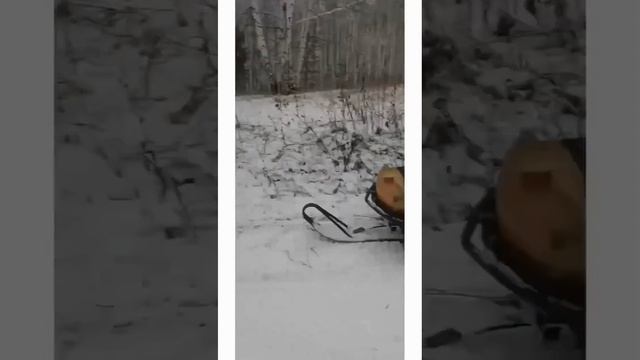 Как идёт подготовка лыжной трассы
