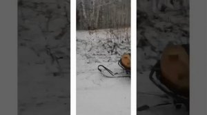 Как идёт подготовка лыжной трассы
