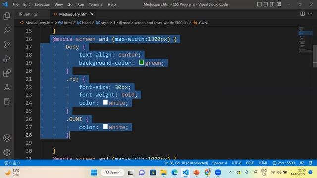 CSS Media Queries | Responsive Web Design | Learn CSS