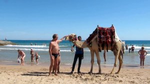 Пляж отеля Жасмин.Лена, Я и верблюд.