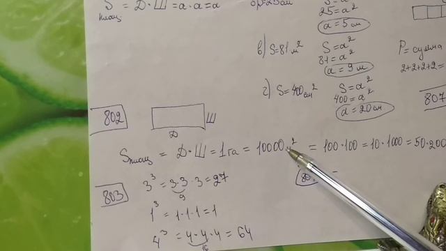 800, 801, 802, 803, 805, 806, 807 Математика 5 класс. Площади фигур смотреть онлайн