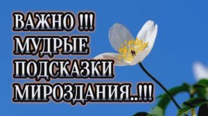 ВАЖНО!!! МУДРЫЕ ПОДСКАЗКИ МИРОЗДАНИЯ!!!
