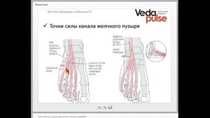 Канал Желчного пузыря, диагностика и методы воздействия