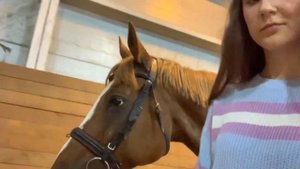 Vlog| конная тренировка|мини-вечер|конный магазин