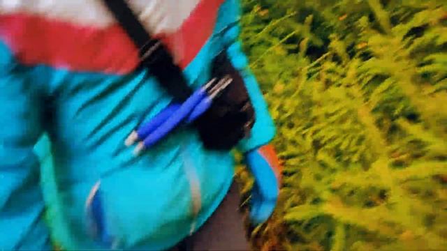 Lesnaya DICH смотреть онлайн