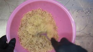 Салат с курицей, грибами и черносливом! Знаменитый салат на новый лад!