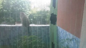 Как быстро и чисто почистить окна..