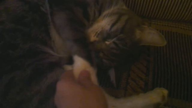 Когда пришел с работы и очень сильно устал. смотреть онлайн