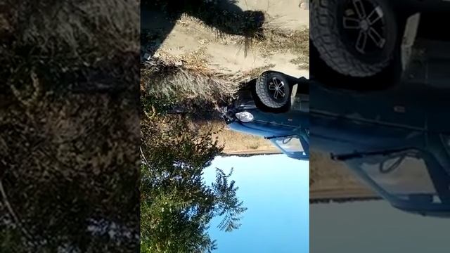 Быки из 90-х против Пожилой женщины Волгоград смотреть онлайн