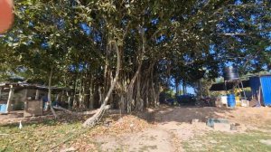 Шри-Ланка Велигама Пляж