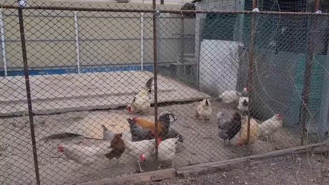 Ейск?Обзор купленной квартиры. Огородные работы. Ремонт в домике у моря))