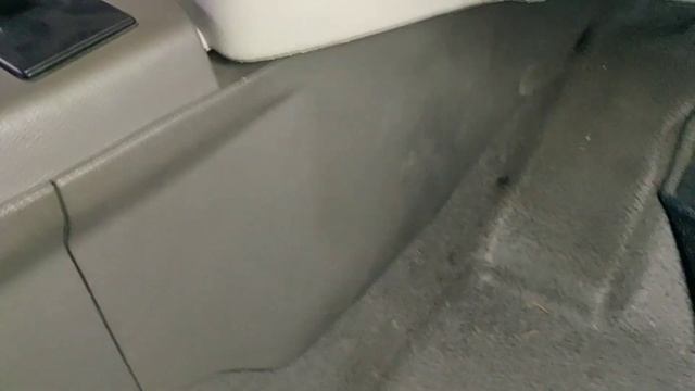 Чистка парою nissan nissanleaf electro bezxim безхім detailing car ecars cardetailing car