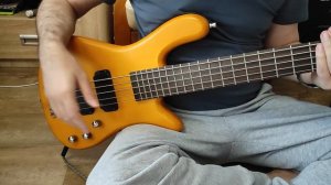 Warwick Streamer Standard 5 Rockbass обзор
