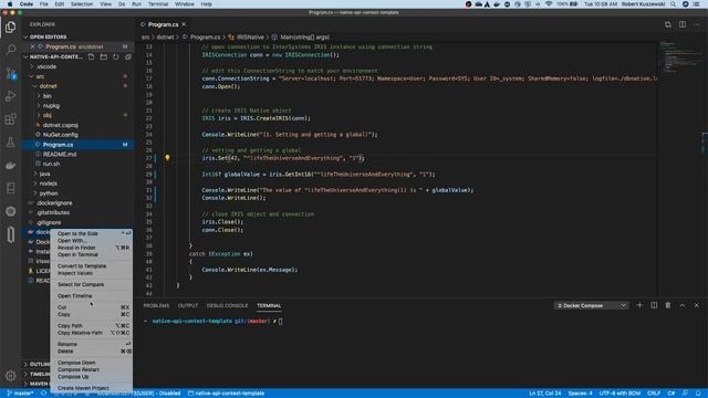 Using the InterSystems IRIS Native API GitHub Template смотреть онлайн