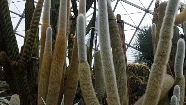 Оранжерея Марина Бэй смотреть онлайн