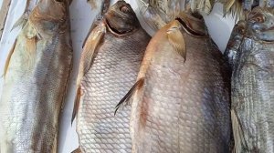 Рыбный рынок в Темрюке