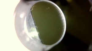 Альфа 6.35 после полировки канала ствола. Полнотелые истории Часть 6