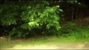 Озата барма Ильсия Бадретдинова