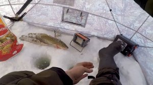 Рыбалка на Оби - Ловим Налима!  Тест Мотособаки Snowdog "Универсал"