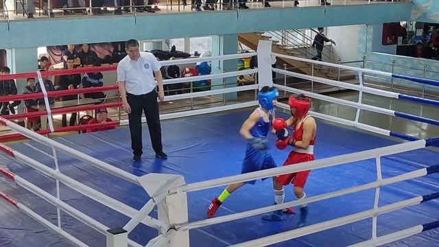 Финал!!! Паншер Алим синий угол!!! Кубок Челленджер!!! смотреть онлайн