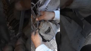 Рено дастер замена тормозных накладок