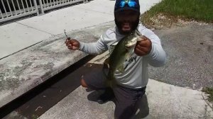 SEWER Fishing for Big Fish!